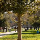 students walk around UC Davis quad