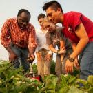 professor and students looking at plants in the field